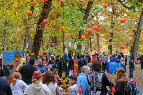 Fall fun at Halloween Forest.