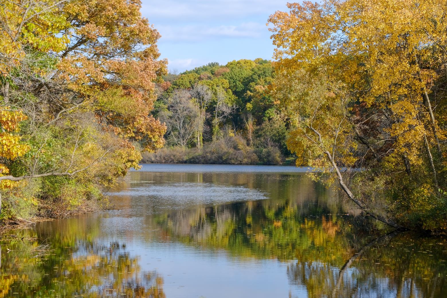 Spring Valley Park Kzoo Parks